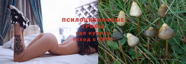герыч Ельня