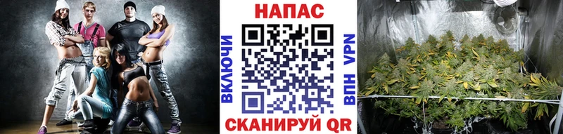 MEGA ссылка  как найти   Емва  Бошки марихуана тримм 